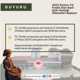 Fındık Alan Bazlı Gelir Desteği Ödemeleri Başlıyor