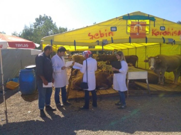 Kurbanlık Hayvan Nakillerinde Uyulması Gereken Kurallar