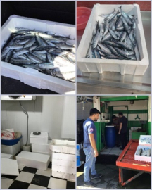 Su Ürünleri Denetimlerine Devam Ediliyor