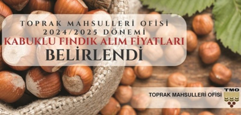 TOPRAK MAHSULLERİ OFİSİ  FINDIK ALIM FİYATLARI BELİRLENDİ