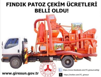 Giresun'da 2024 Fındık Çekimi Patoz Ücretleri Belli Oldu!