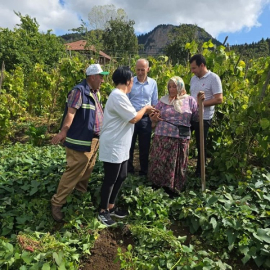 Kırmızı Tatlı Patates Adaptasyon Çalışmalarında Yüz Güldüren Sonuçlar Alınmaya Başlandı…
