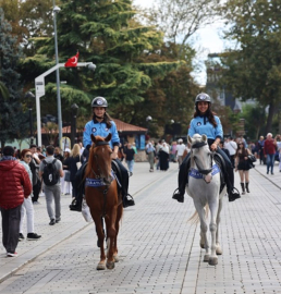  ATLI ZABITA BİRİMİ, ADALARDAKİ ATLARDAN KURULDU