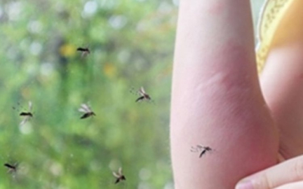 SİNEK VE BÖCEK ISIRIKLARINA KARŞI 5 ÖNEMLİ ADIM!