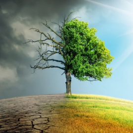 Bölgesel iklim değişikliği risklerine karşı Climaax Proje Başvurusu Yapıldı