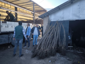 Giresun’da Damla Sulama Sistemli Modern Kapama Meyve Bahçelerinin Kurulumları