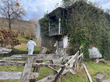 Bulancak’ta Kahverengi Kokarcaya Karşı Kışlak İlaçlaması