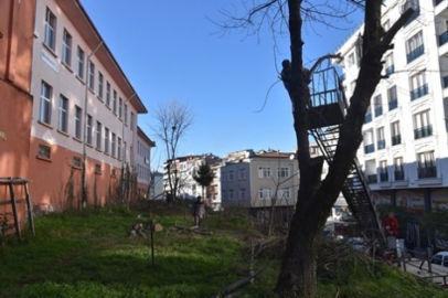 Tarihi Görele Lisesi bahçesi Belediye tarafından bakıma alındı