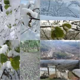 FINDIĞIMIZI  TARSİM SİGORTASI İLE GÜVENCE ALTINA ALMAYI UNUTMAYALIM!