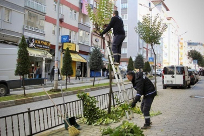 YEŞİLİMİZİ KORUYOR, ŞEHRİMİZİ GÜZELLEŞTİRİYORUZ