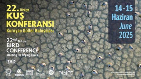 Sulak Alan Kayıpları Devam Ediyor: Ekosistemler Tehlikede