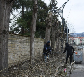 ERİKLİMAN MEVKİİ SAHİL BANDINDA HUMMALI ÇALIŞMA