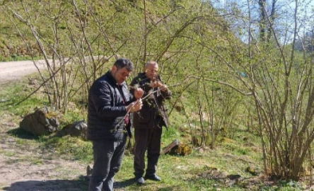Fındık Üreticisine Bir Darbe de Tarsim’den