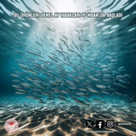 Denizlerde Genel Av Yasakları  Başlıyor