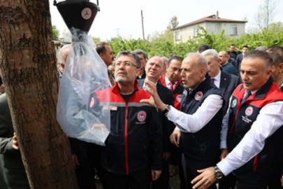 Giresun’da Tarımsal Afet ve Zararlılara Yönelik Yerinde İnceleme