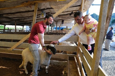 BAŞKAN KÖSE HAYVAN PAZARINI ZİYARET ETTİ