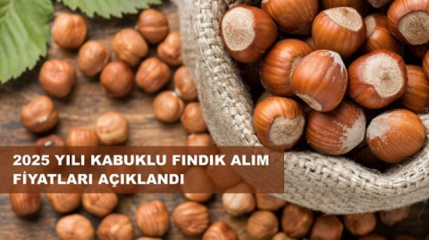 GİRESUN KALİTE KABUKLU FINDIK 200,00 TL/KG