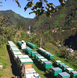 ARILI KOVAN- KUZU/ OĞLAK- BUZAĞI/ MALAK DESTEKLERİ