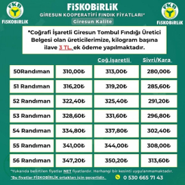 50 RANDUMAN FINDIK 310 TL