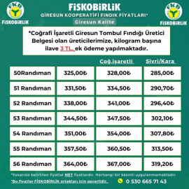 FINDIK 325 TL