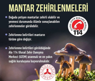 Mantar Zehirlenmeleri