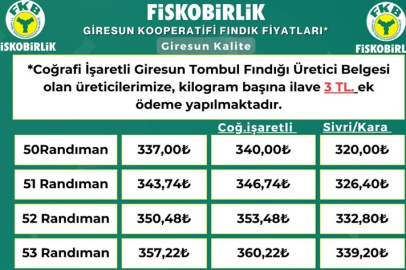 FINDIK HAFTAYI 340 TL DEN KAPATTI