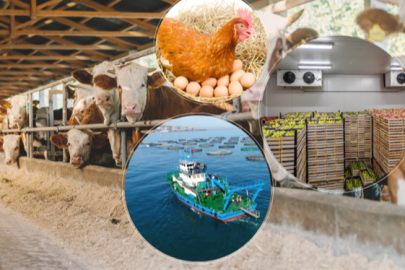 188 MİLYON AVRO BÜTÇELİ IPARD III PROGRAMI 2025 YILI ÇAĞRI TAKVİMİ