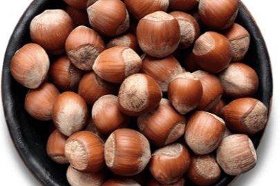 FINDIK BUGÜN  330.-TL