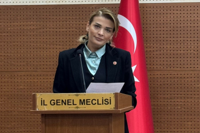 İl Genel Meclis üyesi Peker Madenlere dikkat çekti