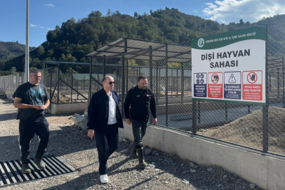 Sahipsiz Sokak Hayvanları Rehabilitasyon Merkezi