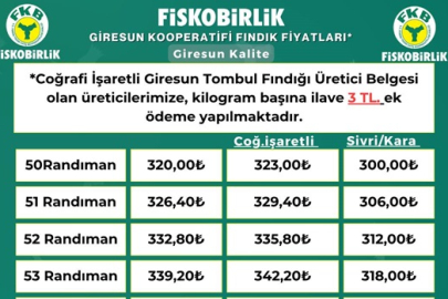 TOMBUL FINDIK 323.-TL