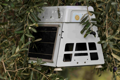 1000 Çiftçi 1000 Bereket programı yedinci yılında