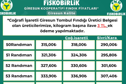 50 RANDUMAN FINDIK 318.-TL/KG
