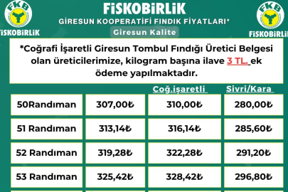 FINDIK GERİYE GİDİŞ DEVAM EDİYOR 310.-TL/KG