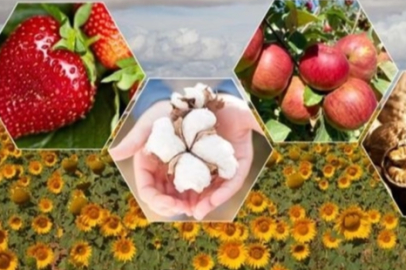 Tarımda zor yıl beklentisi! Bitkisel üretimde düşüş bekleniyor