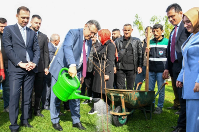 Trabzon’da 37 bin fidan toprakla buluştu