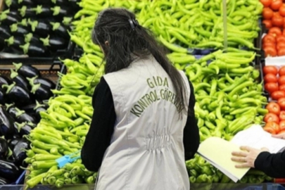 125 bin gıda denetimine 157 milyon TL ceza!