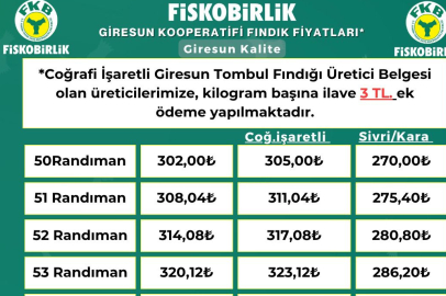 Fındıkta Düşüş Sürüyor: Üretici Endişeli