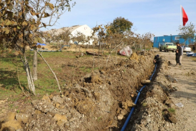 ORDU'DA FINDIKTA VERİMLİLİK İÇİN DAMLAMA YÖNTEMİ