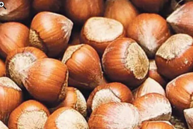 Rekabet Kurulu’ndan Ferrero’ya Fındık Alımında Geçici Revizyon