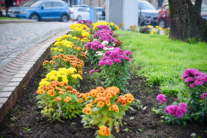 Yeşil alanlar düzenleniyor