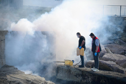GİRESUN SAHİLİNDE MENFEZLER İLAÇLANIYOR