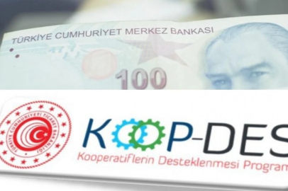 Kooperatiflere 34,8 milyon TL'lik yeni destek: Giresun'da listede