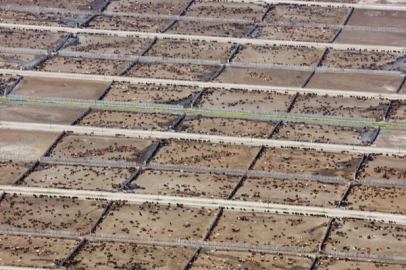 Endüstriyel hayvancılık küresel iklim hedeflerini tehdit ediyor