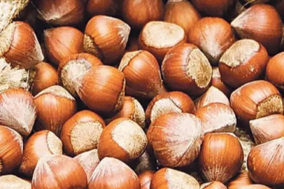 FERRERO FINDIKTA DİJİTAL DÖNEMİ BAŞLATTI