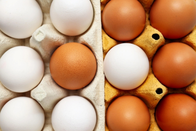 Üretim 11 aydır düşüyor... Vatandaş yumurtaya ulaşamıyor!