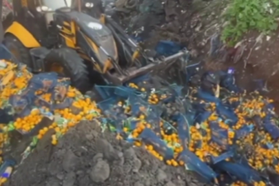 Artvin Sarp Sınır Kapısı'nda 6,1 ton mandalina imha edildi!