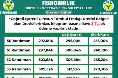 FINDIK FİYATLARINDA DALGALANMA