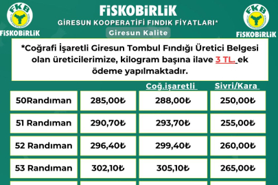 FINDIKTA BÜYÜK ÇÖKÜŞ!