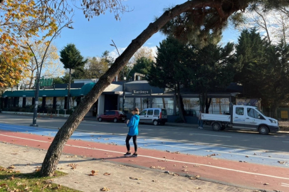 Ordu’da tehlike arz eden ağaçlar için güvenlik çalışması